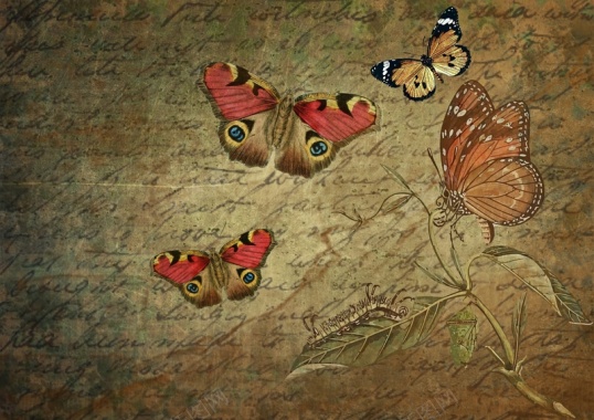 复古牛皮蝴蝶主题信纸手绘背景素材背景