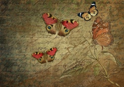 英伦范复古牛皮蝴蝶主题信纸手绘背景素材高清图片