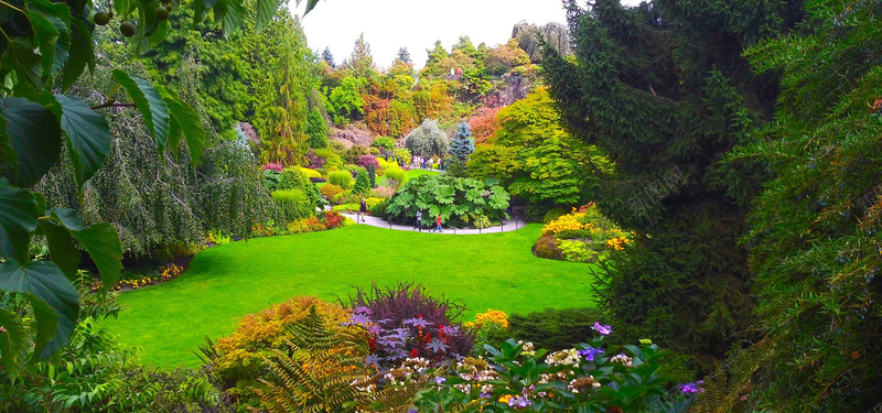 漂亮花园背景