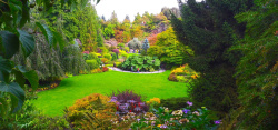 漂亮的花园漂亮花园高清图片