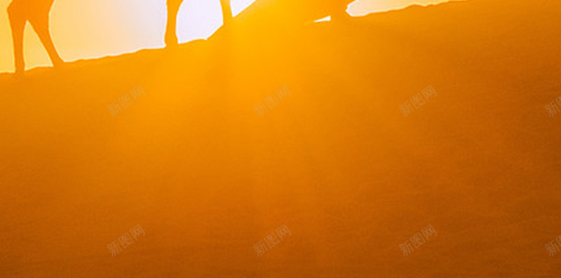 沙漠中的骆驼美女H5背景素材jpg设计背景_新图网 https://ixintu.com 余辉 沙漠 温暖 美女 阳光 沙漠中的骆驼美女 温馨 简约 H5背景素材