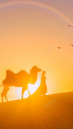 余辉沙漠中的骆驼美女H5背景素材高清图片