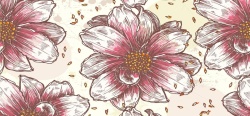 素色花纹素色典雅花纹纹理背景高清图片
