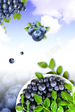 美味蓝莓水果广告海报背景素材背景