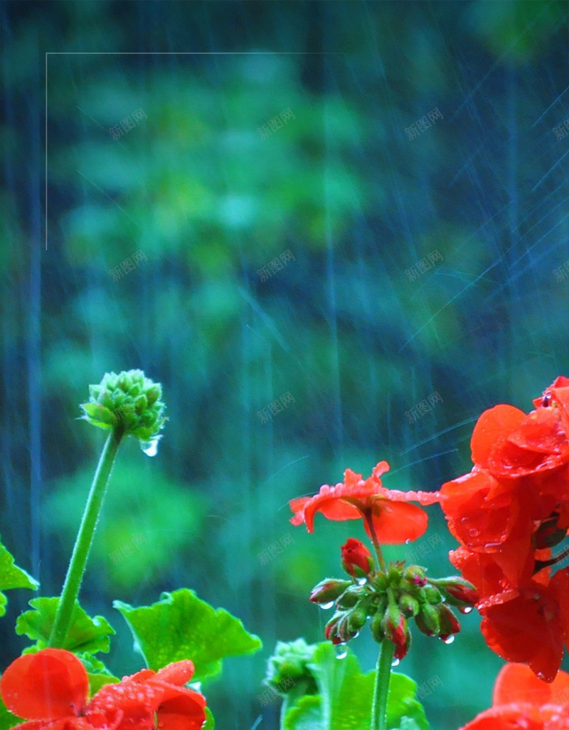 森系雨季意境唯美H5背景素材psd设计背景_新图网 https://ixintu.com 唯美海报 雨伞海报 雨天海报 雨季海报 意境 森系雨季海报 雨伞 下雨天 雨天 雨季 励志海报 心灵