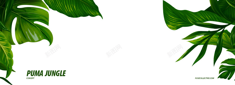 芭蕉背景图jpg设计背景_新图网 https://ixintu.com 芭蕉 绿色 植物 海报banner 摄影 风景