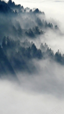 中国风森林风景手机端H5背景背景