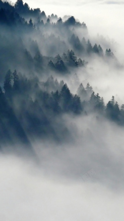 中国风森林风景手机端H5背景背景