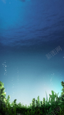 海底世界H5背景背景