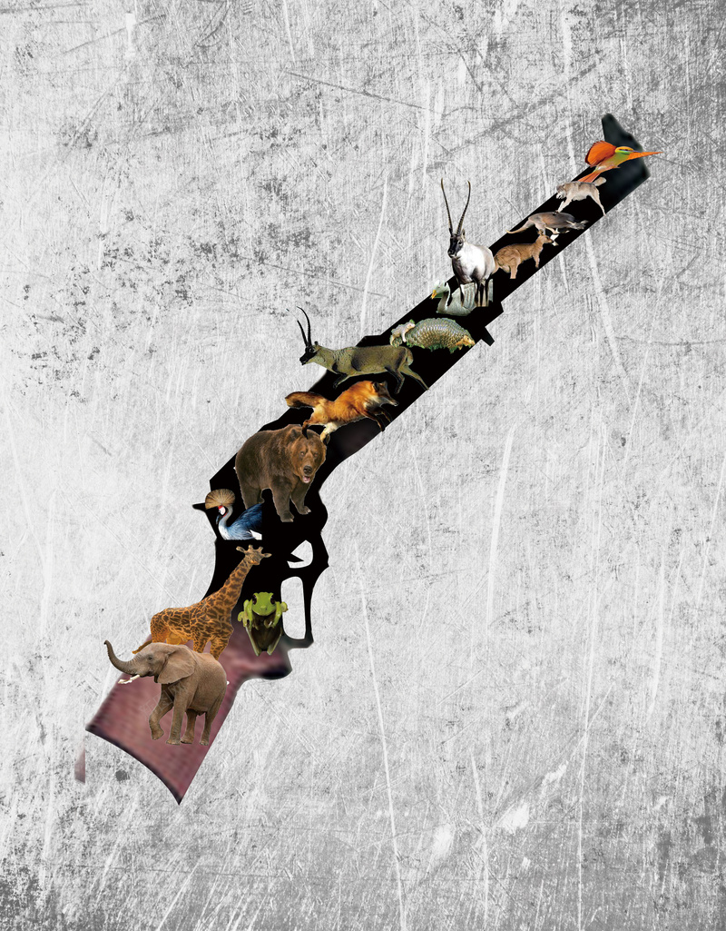 猎枪上的动物背景素材psd设计背景_新图网 https://ixintu.com 伤害 动物 卡通 海报 灰色 猎枪 背景 忧伤 童趣 手绘