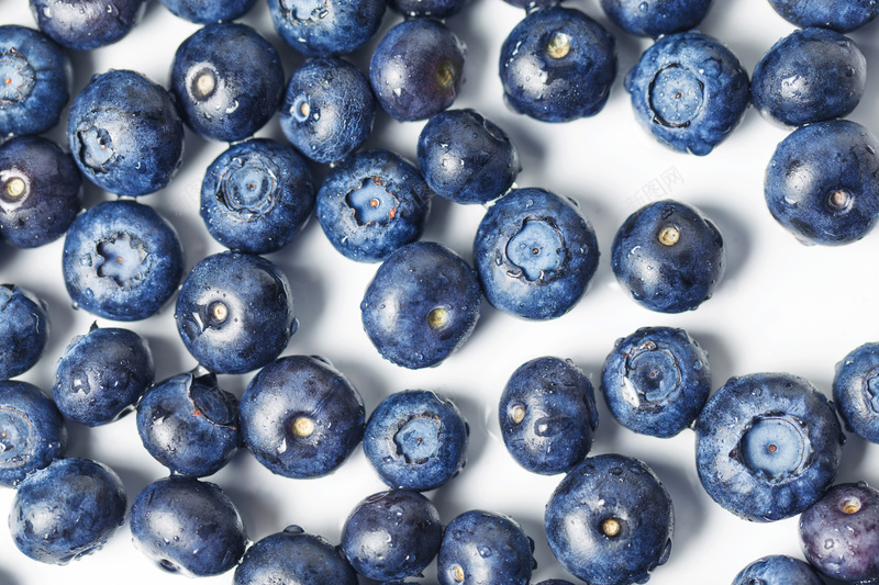 多个蓝莓特写免费照片jpg设计背景_新图网 https://ixintu.com 照片 高清 食物 实物 背景 高清图片 美味 美食 蓝莓