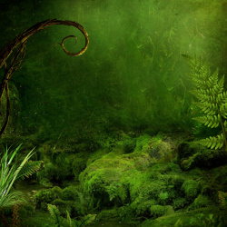 原始植物原始森林绿色植物背景素材高清图片