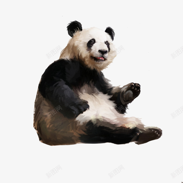 熊猫动物卡通手绘插画可爱png免抠素材_新图网 https://ixintu.com 熊猫 卡通 手绘 插画 可爱