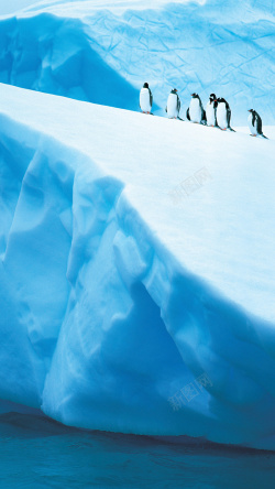 南极洲冰山蓝色冰川企鹅手机端H5背景高清图片