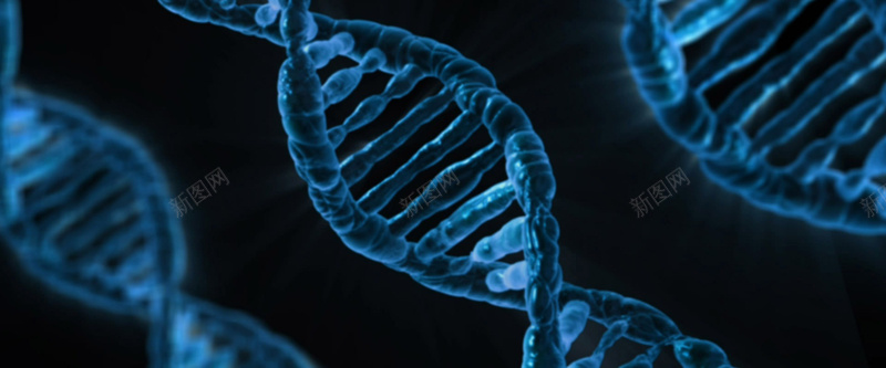 基因背景jpg设计背景_新图网 https://ixintu.com 生物 蓝色 基因 科学 海报banner DNA 科技 科幻 商务