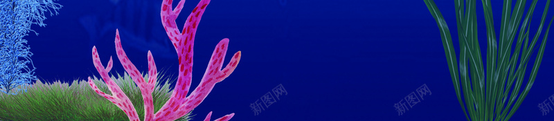 简约大气海底世界广告jpg设计背景_新图网 https://ixintu.com 海底世界 大气 广告 简约 蓝色 海洋 鱼 珊瑚