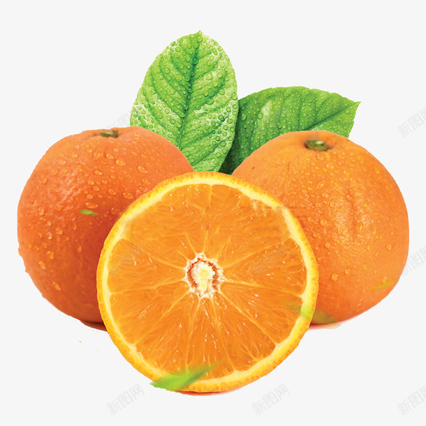 新鲜可口橙子png免抠素材_新图网 https://ixintu.com 橙子 高清 免扣 新鲜 美味 口感佳 甜橙