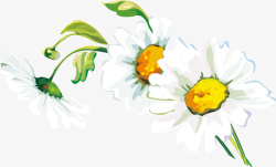 白色纯净手绘花朵素材