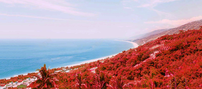 秋季枫叶林海景背景背景