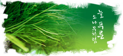 绿色产品介绍绿色撕边效果背景素材高清图片