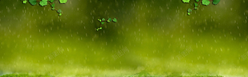 山虎雨苔藓横幅绿色背景