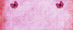 亚麻质感背景蝴蝶粉色质感布料亚麻高清图片