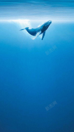 神秘海洋蓝色海洋H5背景高清图片