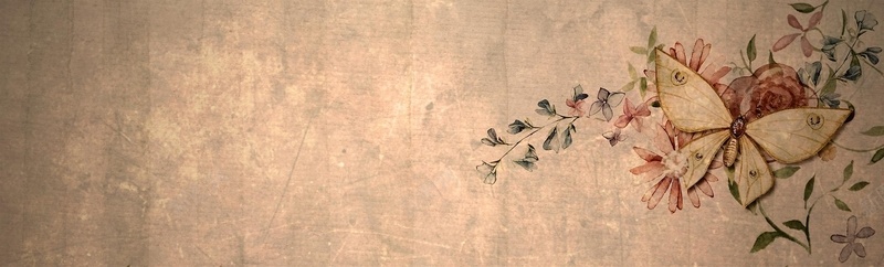 花朵蝴蝶背景图背景
