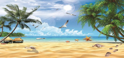贝壳海鸥海滩风景高清图片