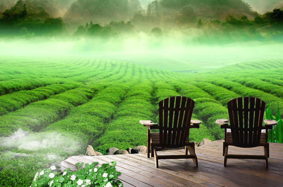 绿色草木化妆品祛痘促销海报背景素材背景