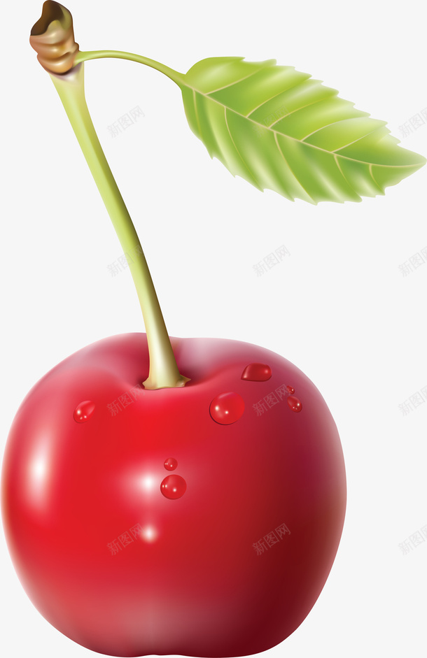 一颗樱桃图片png免抠素材_新图网 https://ixintu.com 樱桃 水果 水果食物 食物