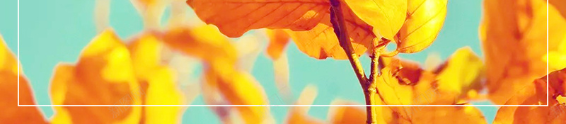 秋天来了秋天促销海报背景素材psd设计背景_新图网 https://ixintu.com 秋天海报 秋季新品 秋季海报 秋天景色 秋天促销 九月你好 商场促销 化妆品