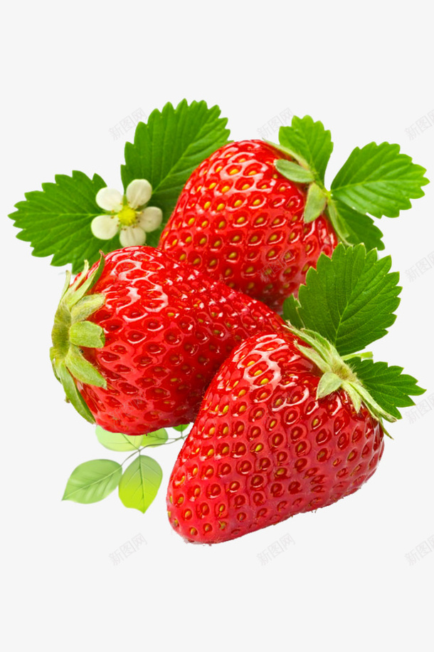 新鲜美味水果草莓png免抠素材_新图网 https://ixintu.com 新鲜 水果 草莓 甜食 酸酸甜甜 红色 叶子