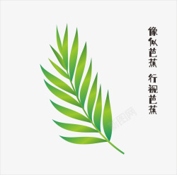 枝枝矢量透明文件芭蕉叶高清图片