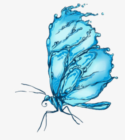 水状蓝色蝴蝶高清图片