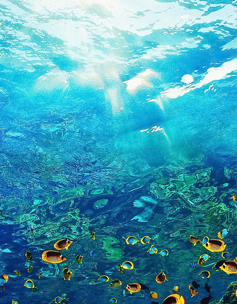 海底世界H5背景jpg设计背景_新图网 https://ixintu.com 海底世界 炫彩 珊瑚 蓝色 鱼群 H5背景 神秘 H5 h5 大气