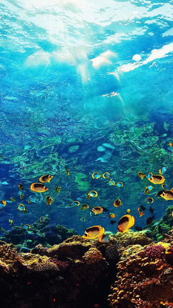 神秘海底海底世界H5背景高清图片