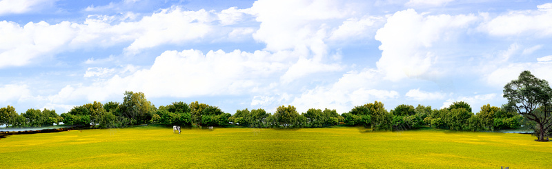 绿色草地环保banner背景背景