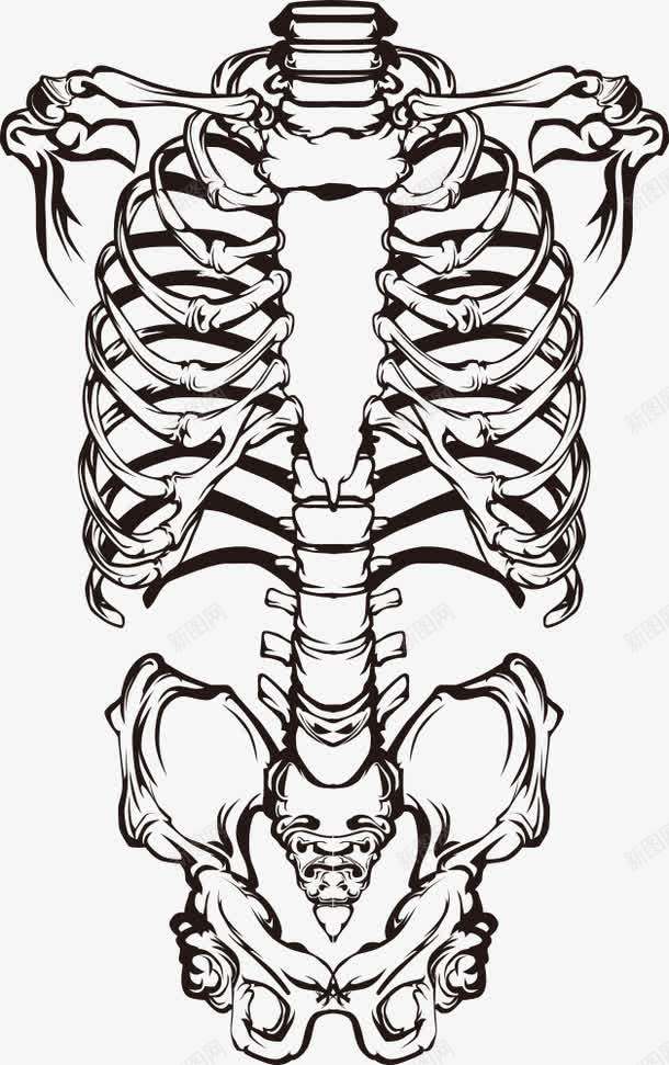 人骨印花png免抠素材_新图网 https://ixintu.com T恤印花 印花图案 矢量印花 服装印花 服装印花设计 T恤印花图案 人骨 T恤图案 数码印花