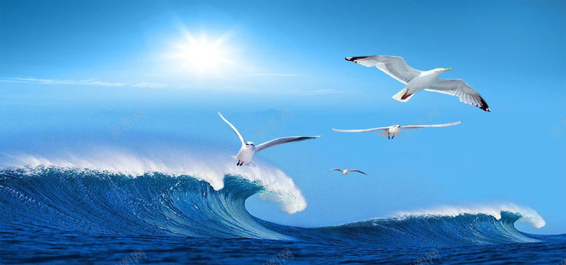海浪背景图jpg设计背景_新图网 https://ixintu.com 阳光 蓝天 海鸥 自然风景 海浪 海报banner 摄影 风景