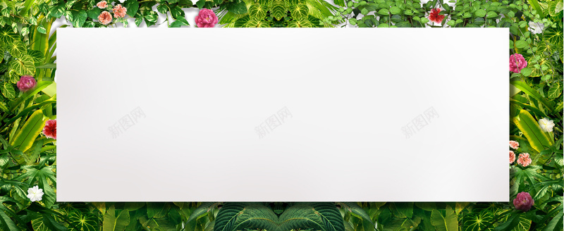 绿色植物海报背景jpg设计背景_新图网 https://ixintu.com 海报banner 植物 绿色