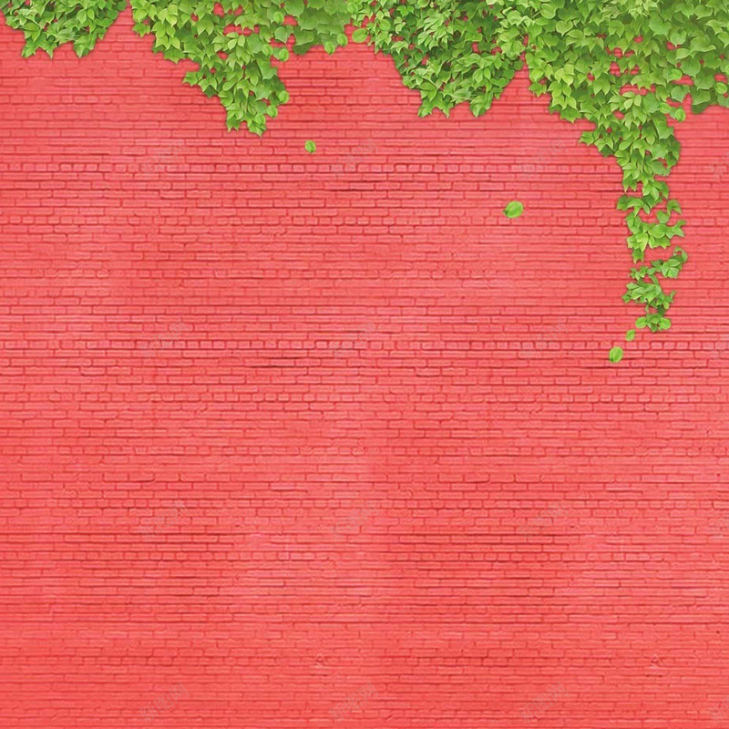 红墙绿植背景jpg设计背景_新图网 https://ixintu.com 质感 文艺 红墙 植物 纹理 主图