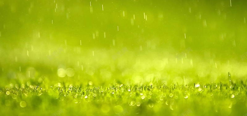 下雨的草地jpg设计背景_新图网 https://ixintu.com 绿草坪 清新 绿色 雨季 夏 海报banner 文艺 小清新 简约