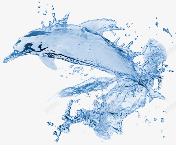 水元素聚集的小海豚素材png免抠素材_新图网 https://ixintu.com 海豚 水元素 免抠素材 效果元素