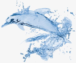 聚集水元素聚集的小海豚素材高清图片