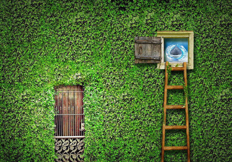 绿色创意墙面门窗梯子世界背景素材psd设计背景_新图网 https://ixintu.com 创意 墙面 梯子 绿色 门窗 世界 背景 素材