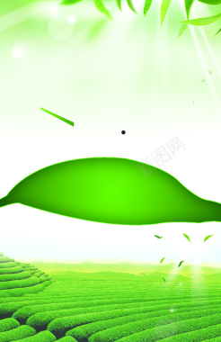 茶叶绿色海报祛痘促销背景素材背景
