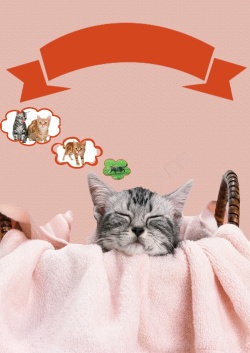 爱护动物海报宠物医院海报背景素材高清图片