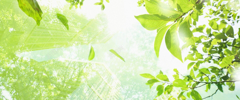 清新绿色阳光背景jpg设计背景_新图网 https://ixintu.com 清新 绿色 阳光 绿植 建筑合成 背景 海报banner 摄影 风景