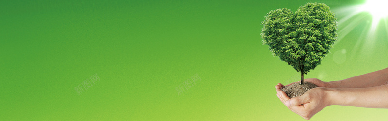 健康绿色背景jpg设计背景_新图网 https://ixintu.com 海报banner 健康绿色背景 阳光 手捧小树